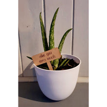 Load image into Gallery viewer, Brown Thumb Plant Signs - My Family Rulers