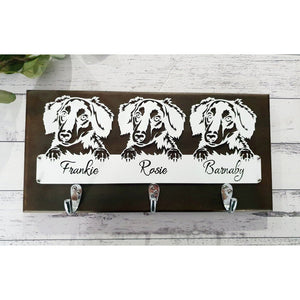 Dog Leash Wall Hanger - Indoor - Double Hook - My Family Rulers