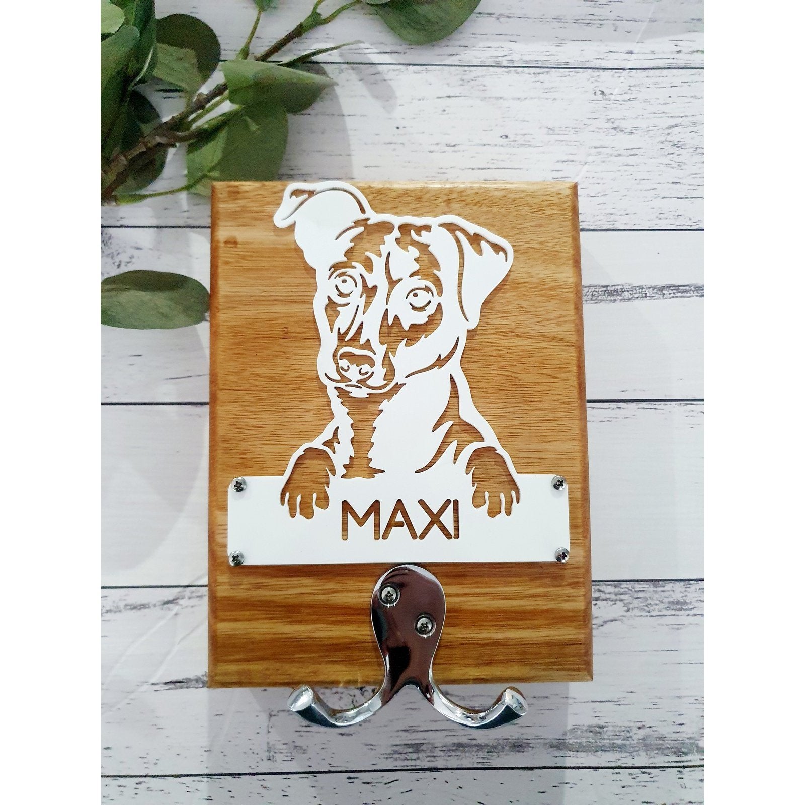Outdoor dog leash clearance holder