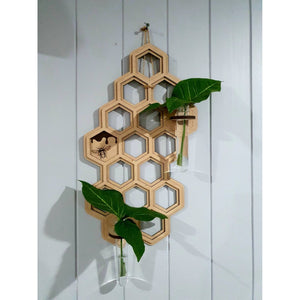 Bee Hive Plant Propagation Wall Station Hanger - My Family Rulers