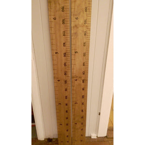 Ruler w/ Both Measurements ONLY | My Family Rulers