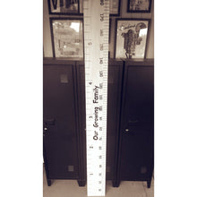 Load image into Gallery viewer, Ruler w/ Both Measurements + Wording - My Family Rulers